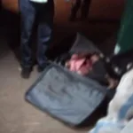 اعتداء عنصر أمني على محامٍ… ونقيب المحامين يتحرك فوراً