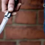 المفاوضات لن تكون سهلة..منيمنة: حل مشكلة السلاح في بيروت سيكون إنجازًا كبيرًا